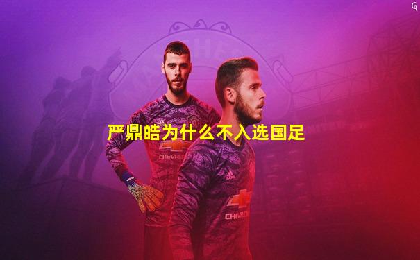 严鼎皓为什么不入选国足