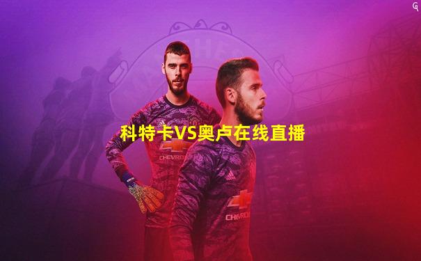 科特卡VS奥卢在线直播