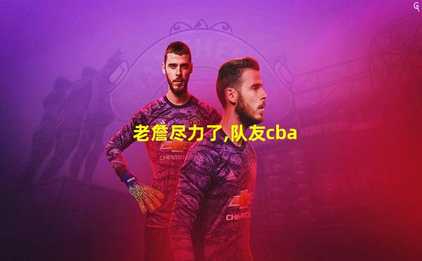 老詹尽力了,队友cba