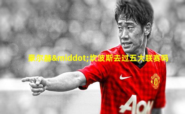 豪尔赫·坎波斯去过五大联赛吗